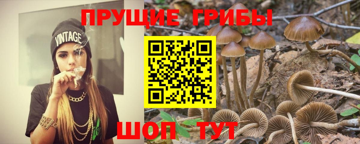 Усинск  Псилоцибиновые грибы MAGIC MUSHROOMS  Вход с VPN 